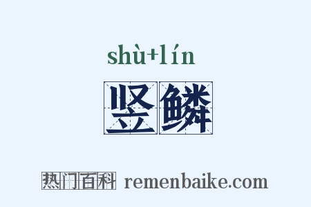 竖鳞是什么意思的图片